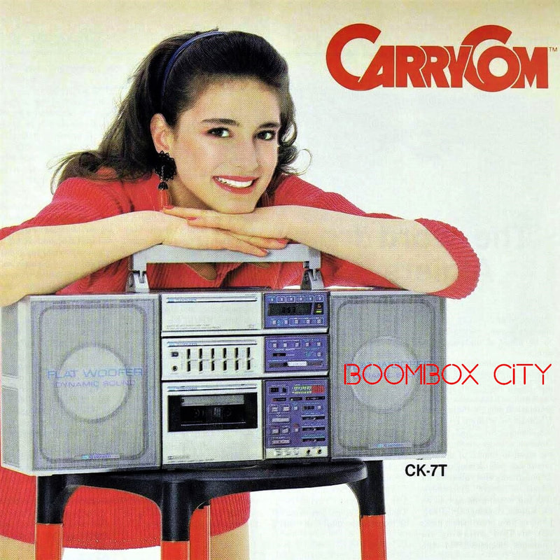 PIONEER CarryCom system (1983)